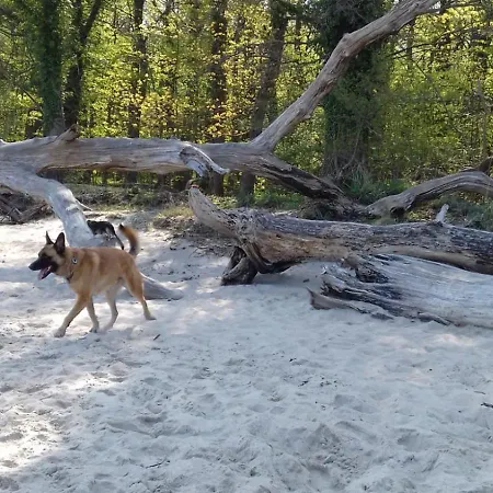 Am Wald Σπίτι διακοπών